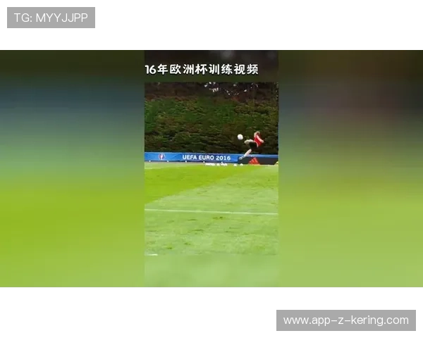 欧洲杯预选赛凌空抽射震撼赛场