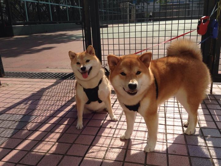 滑行距离与速度关系探讨,滑行距离怎么算