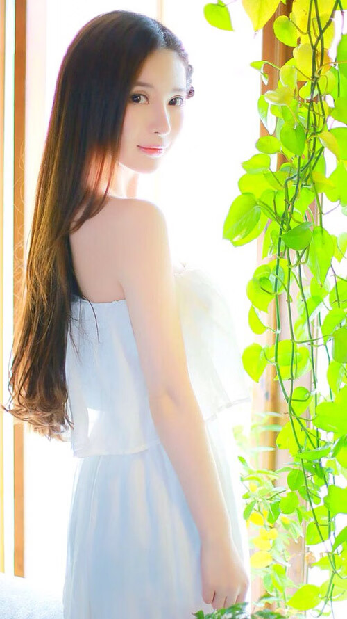 运动员健康数据管理系统上线试运行，运动员综合管理系统