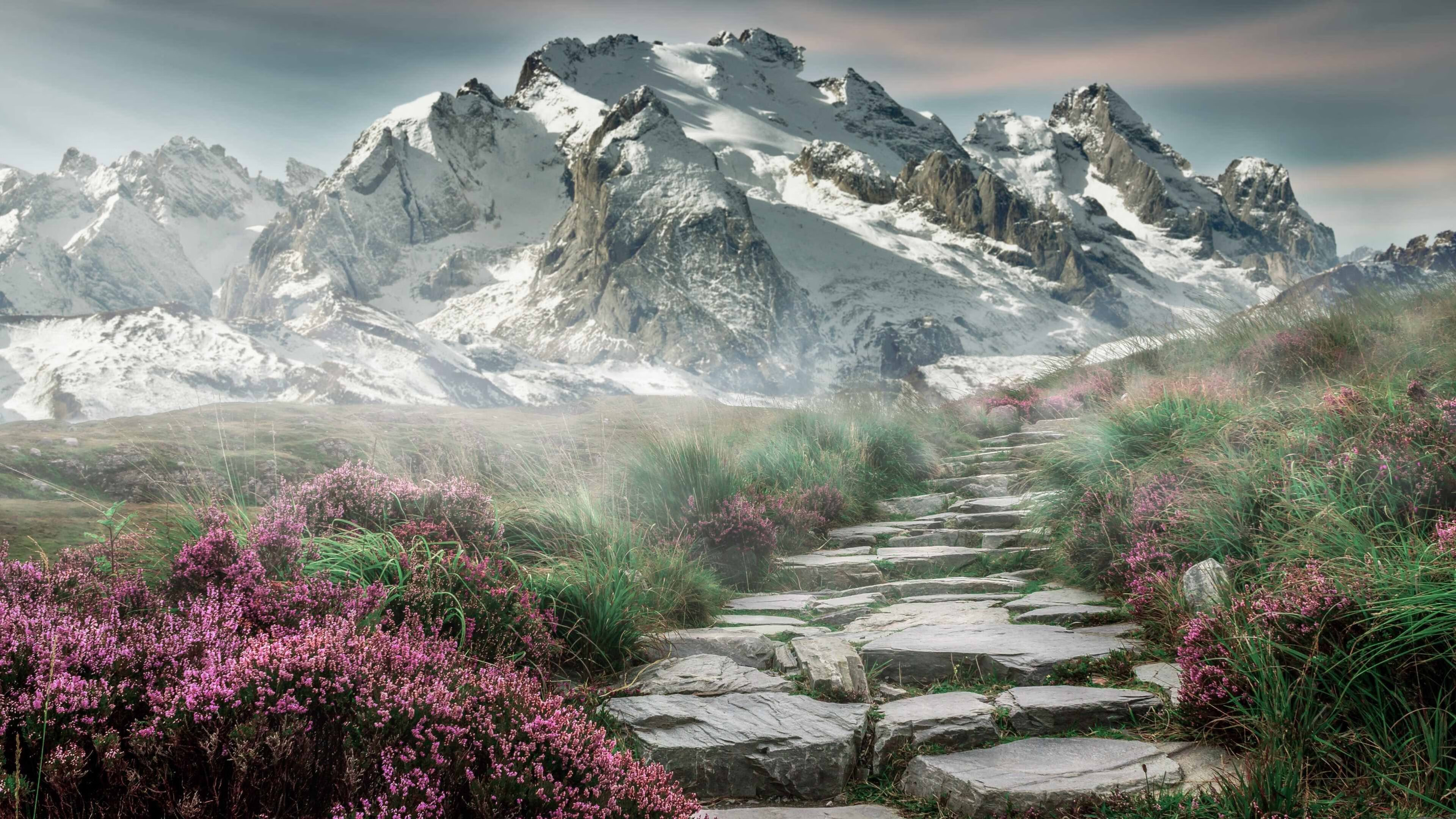 运动员健康数据管理系统上线试运行，运动员综合管理系统