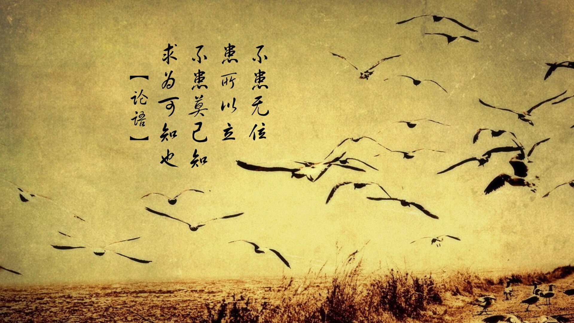 高原训练营助力越野滑雪选手备战国际赛事，高山滑雪陆地训练