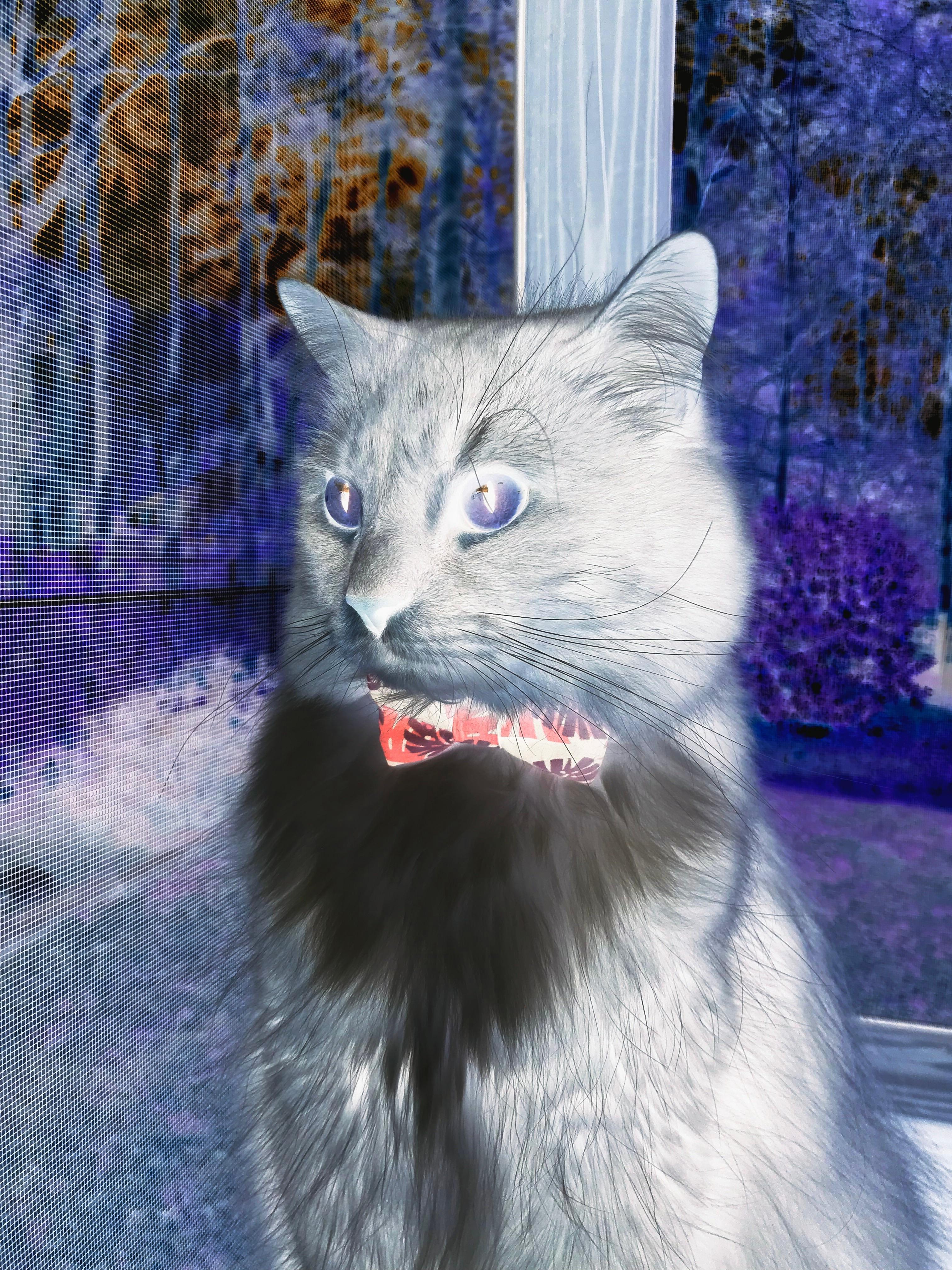 中国足球职业俱乐部赛事运营管理水平提升,职业足球俱乐部管理制度范本